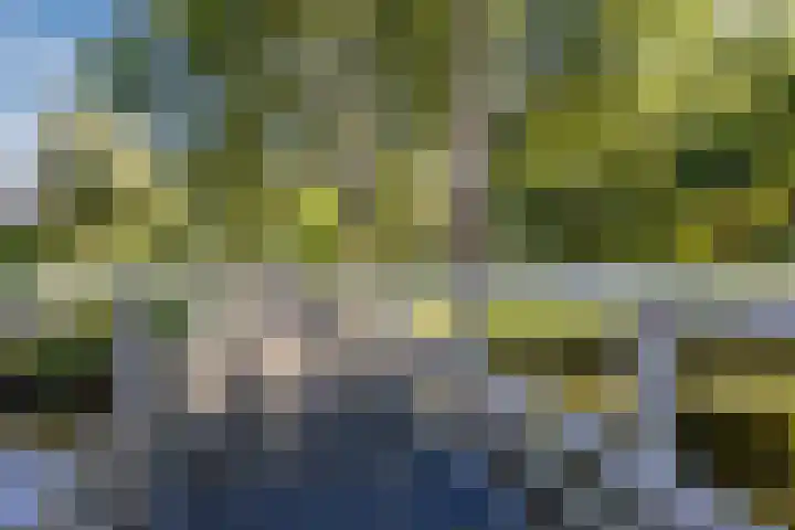 Händellaan 14 Voorschoten thumbnail 35