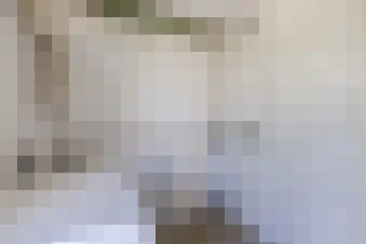 Händellaan 14 Voorschoten thumbnail 9