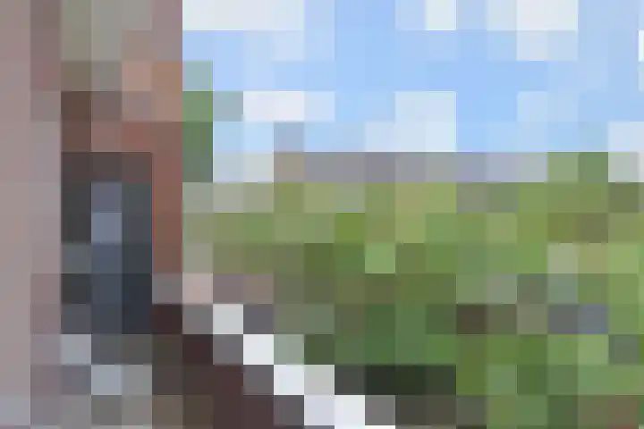 Händellaan 15 Den Haag thumbnail 27