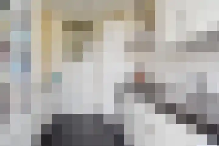 Händellaan 15 Den Haag thumbnail 29