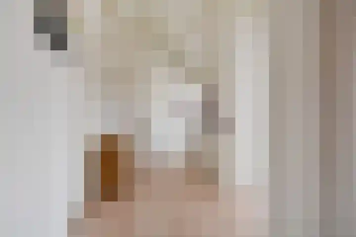 Händellaan 15 Den Haag thumbnail 36