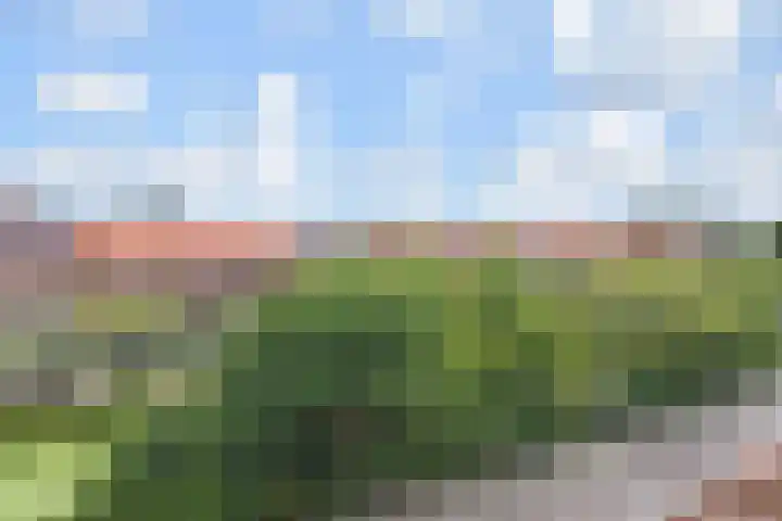 Händellaan 15 Den Haag thumbnail 39