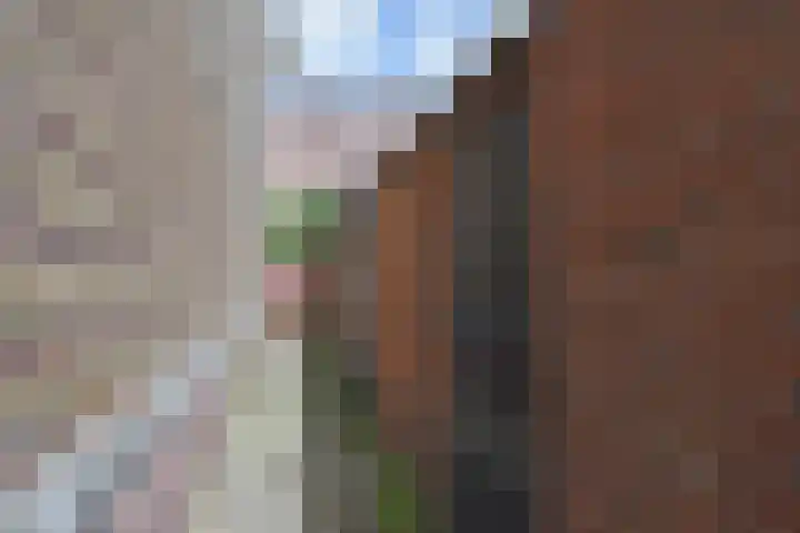Händellaan 15 Den Haag thumbnail 60