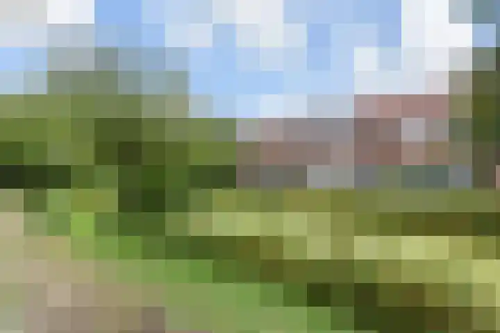 Händellaan 15 Den Haag thumbnail 65