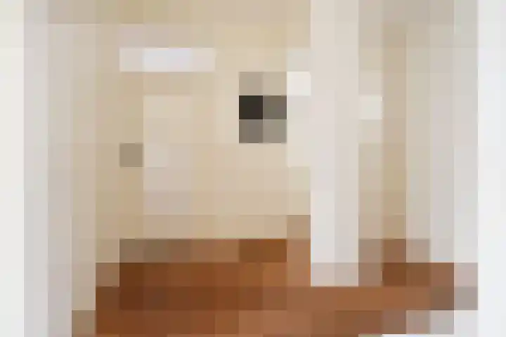 Händellaan 15 Den Haag thumbnail 7