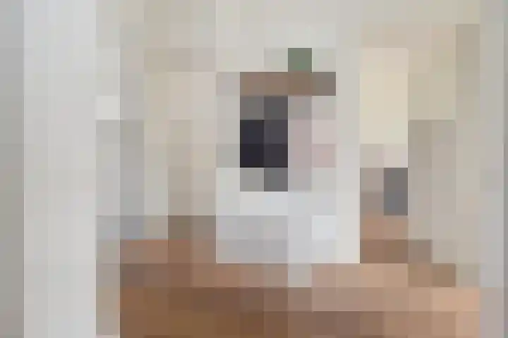 Händellaan 15 Den Haag thumbnail 8