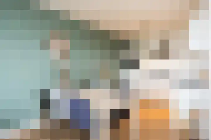 Händellaan 155 Zwolle thumbnail 11