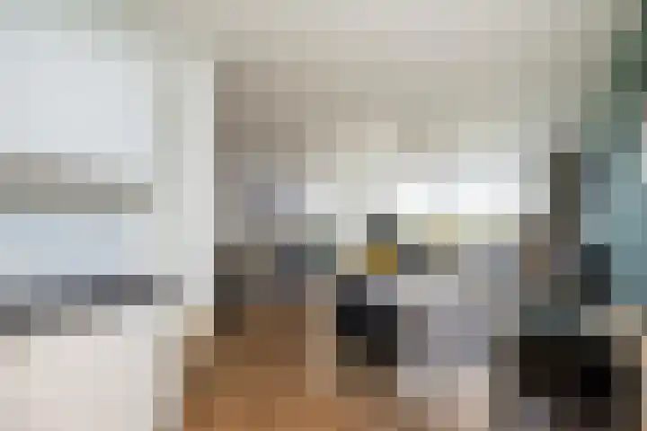 Händellaan 155 Zwolle thumbnail 12