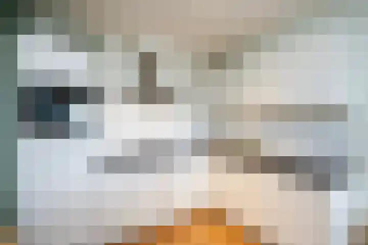 Händellaan 155 Zwolle thumbnail 13