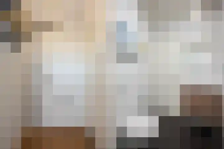 Händellaan 155 Zwolle thumbnail 20
