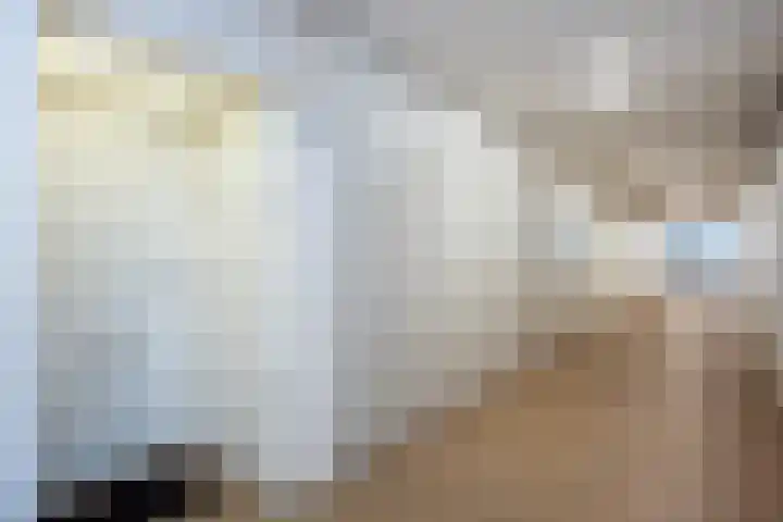 Händellaan 155 Zwolle thumbnail 22