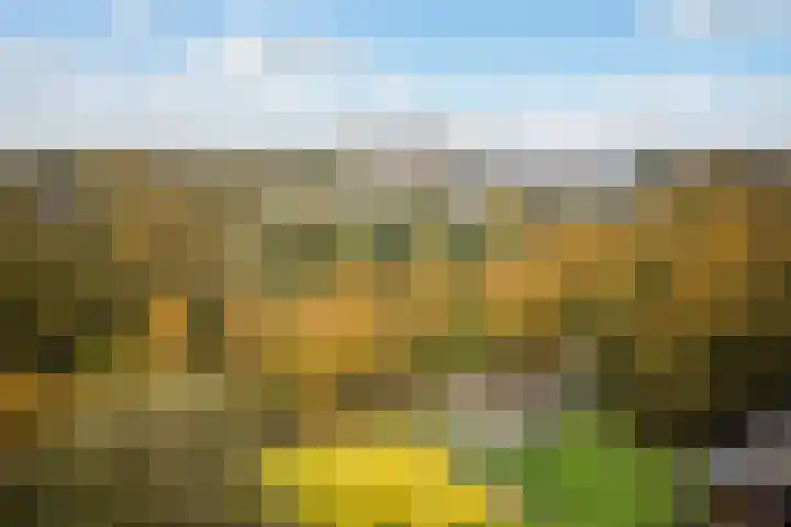 Händellaan 155 Zwolle thumbnail 28