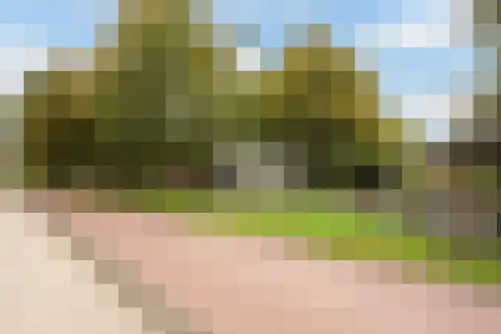 Händellaan 155 Zwolle thumbnail 33