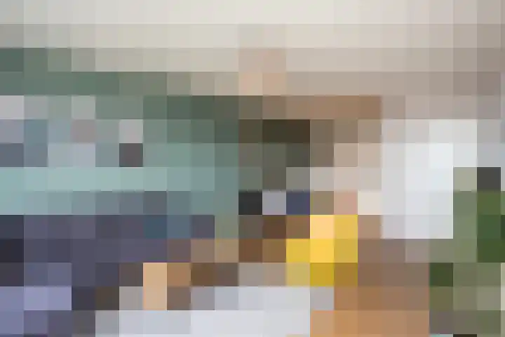 Händellaan 155 Zwolle thumbnail 7