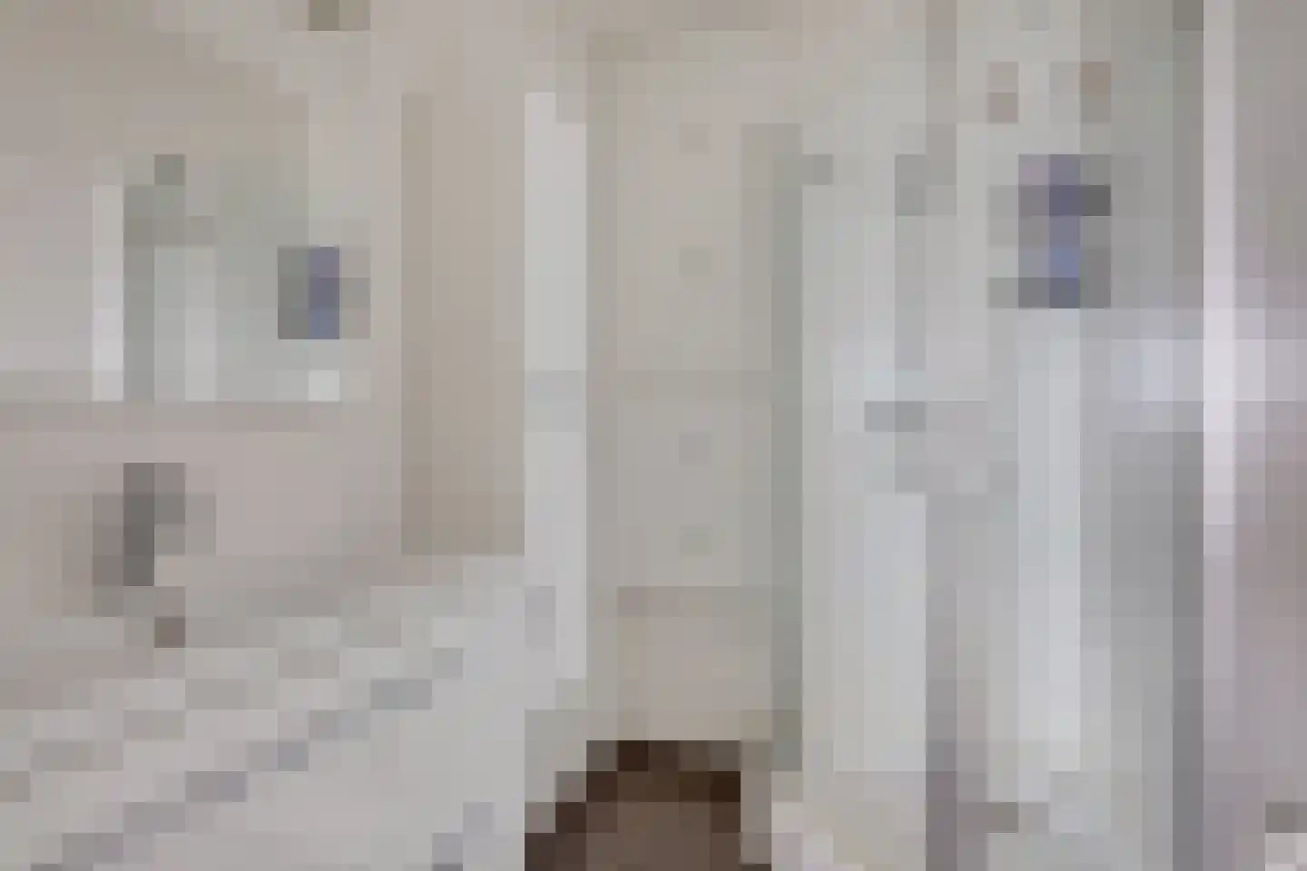 Händellaan 158 Breda thumbnail 19