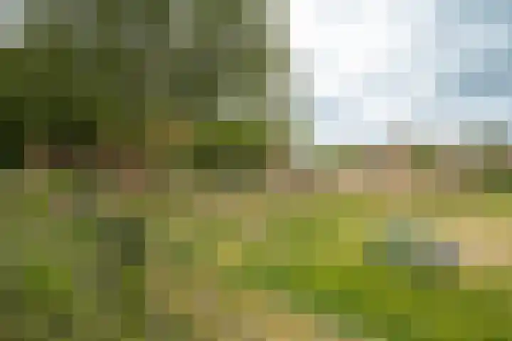 Händellaan 16 Bilthoven thumbnail 10