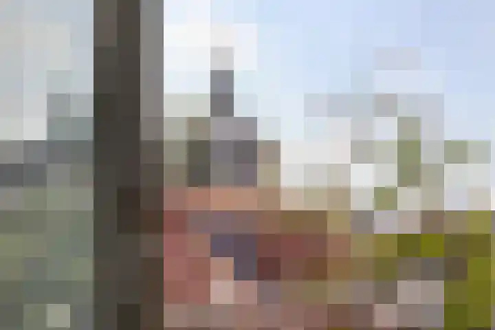 Händellaan 16 Bilthoven thumbnail 32
