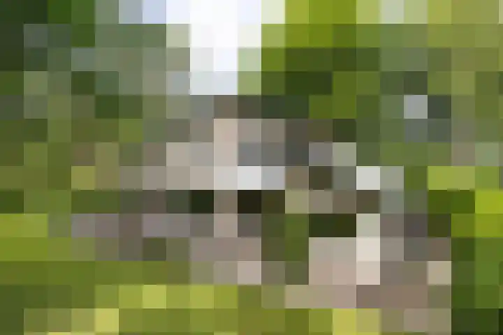 Händellaan 16 Bilthoven thumbnail 40