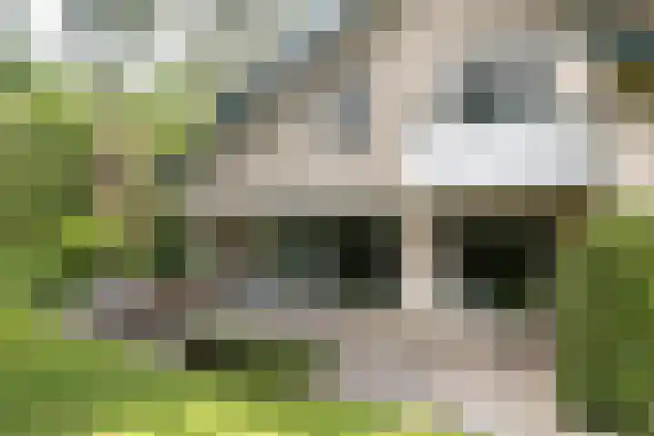 Händellaan 16 Bilthoven thumbnail 41