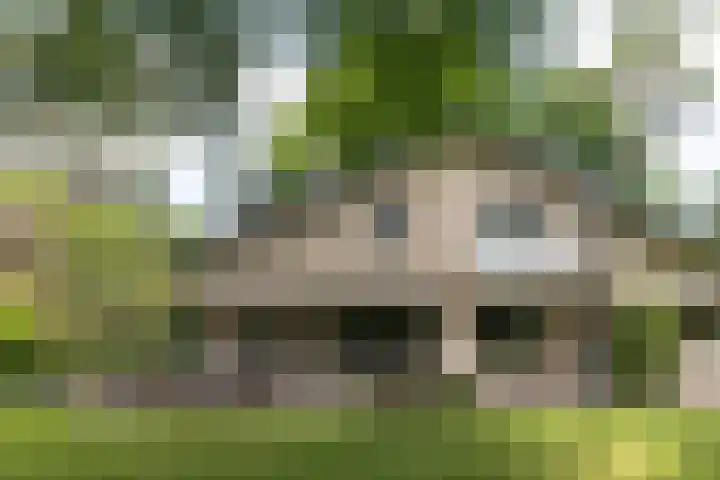 Händellaan 16 Bilthoven thumbnail 42
