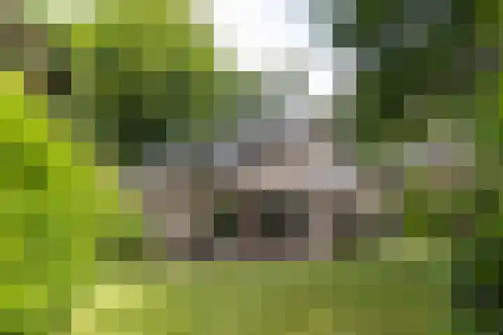 Händellaan 16 Bilthoven thumbnail 43