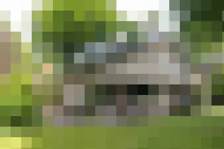 Händellaan 16 Bilthoven thumbnail 44