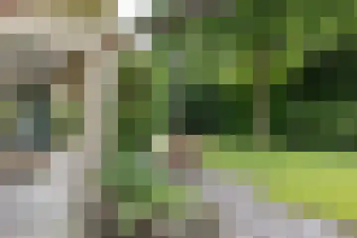 Händellaan 16 Bilthoven thumbnail 48