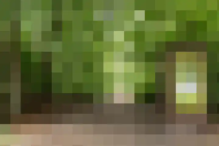 Händellaan 16 Bilthoven thumbnail 53
