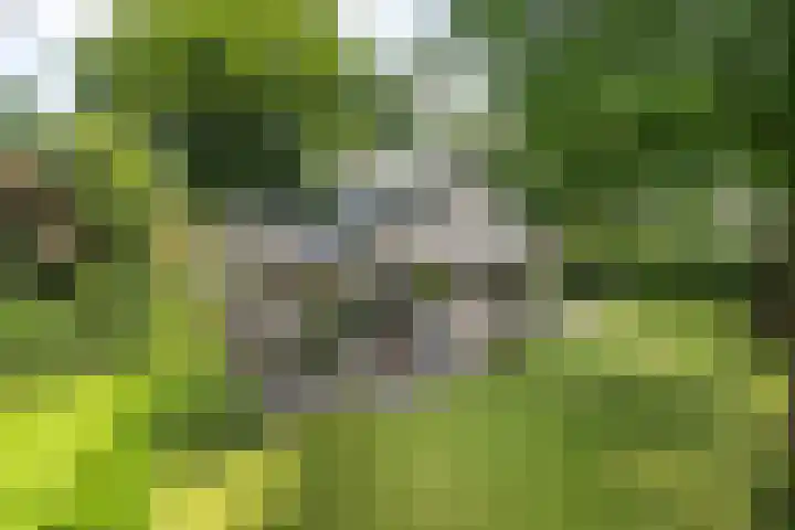Händellaan 16 Bilthoven thumbnail 59