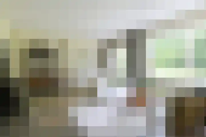 Händellaan 16 Bilthoven thumbnail 7
