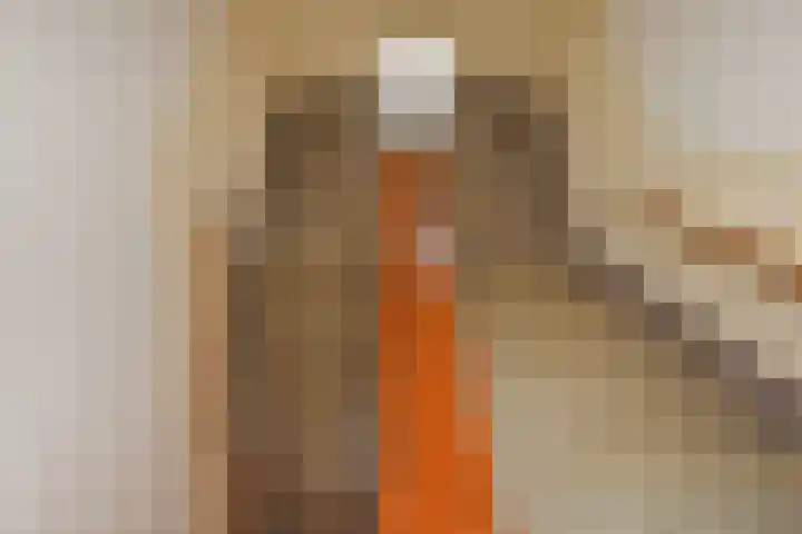 Händellaan 16 Den Haag thumbnail 38