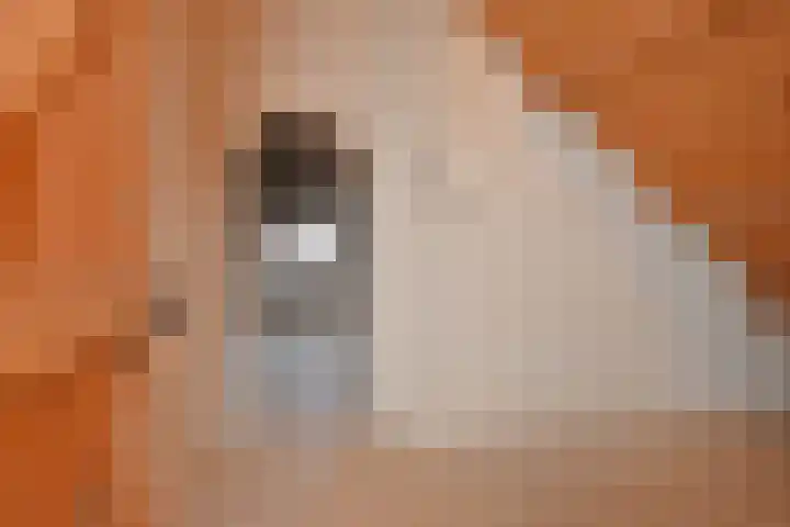 Händellaan 16 Den Haag thumbnail 44