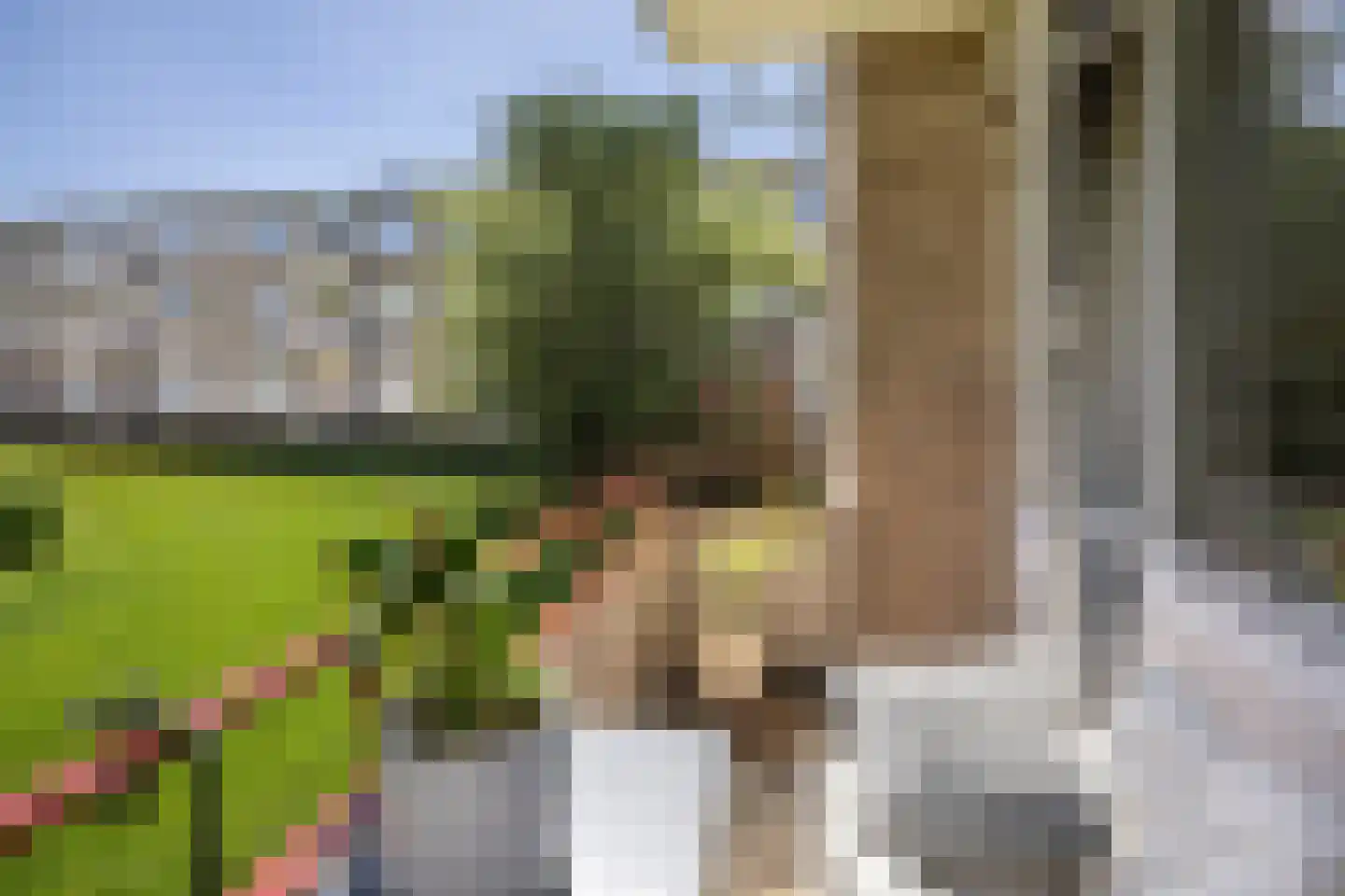 Händellaan 17 Groningen thumbnail 4