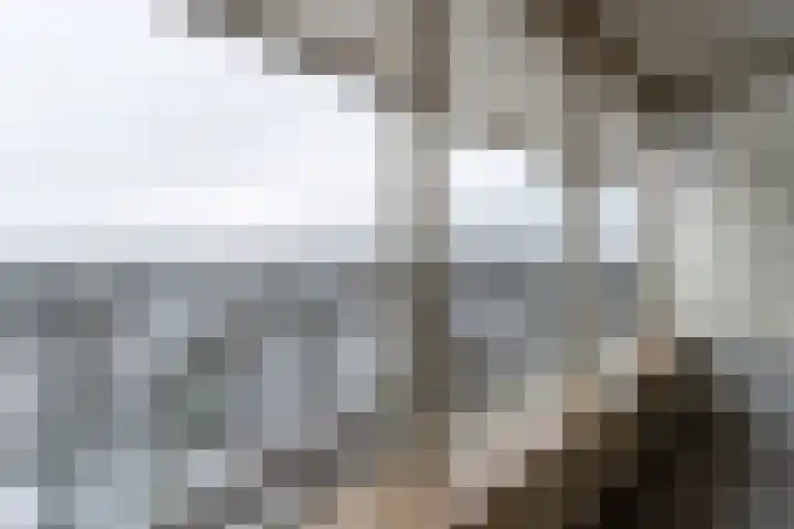 Händellaan 173 Zwolle thumbnail 9
