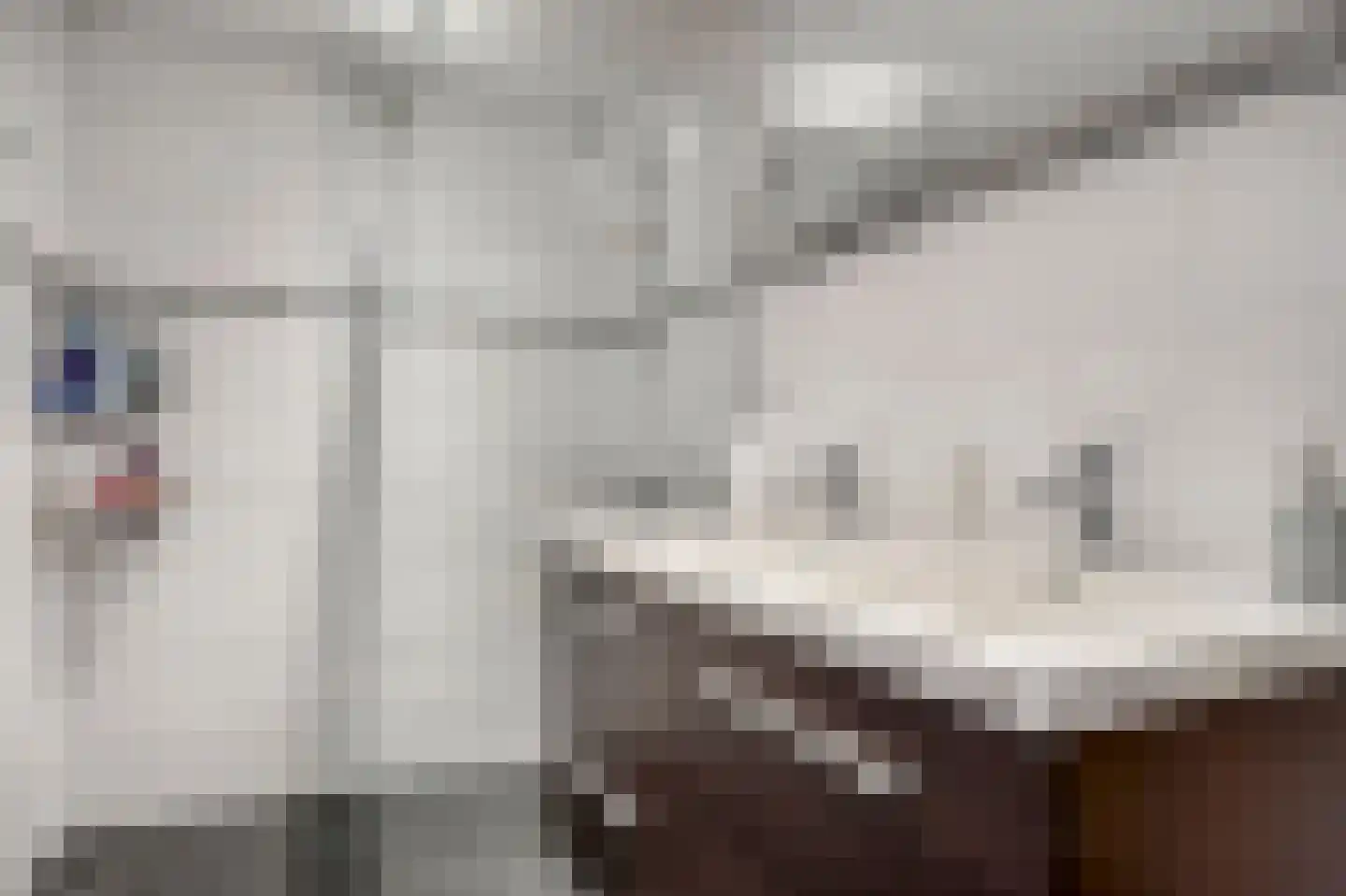 Händellaan 21 Voorschoten thumbnail 32