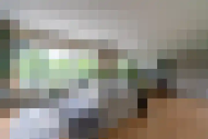 Händellaan 21 Zwolle thumbnail 5