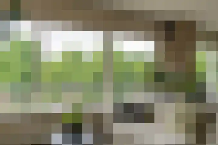 Händellaan 21 Zwolle thumbnail 6