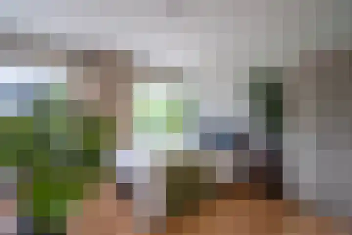 Händellaan 21 Zwolle thumbnail 8