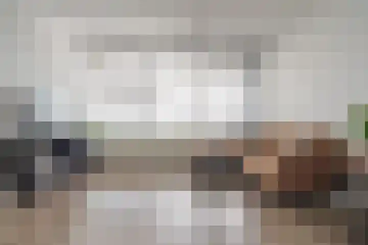 Händellaan 231 Zwolle thumbnail 18