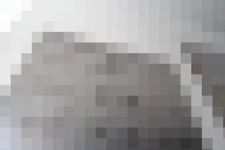 Händellaan 231 Zwolle thumbnail 31