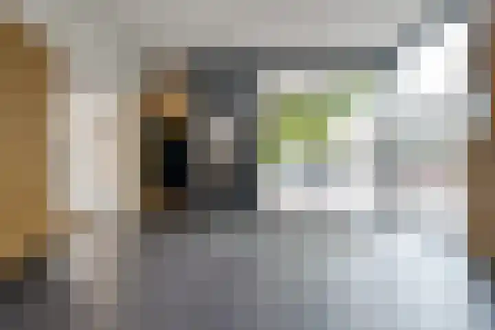 Händellaan 231 Zwolle thumbnail 37