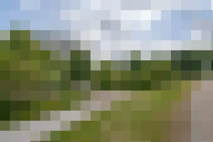 Händellaan 231 Zwolle thumbnail 39