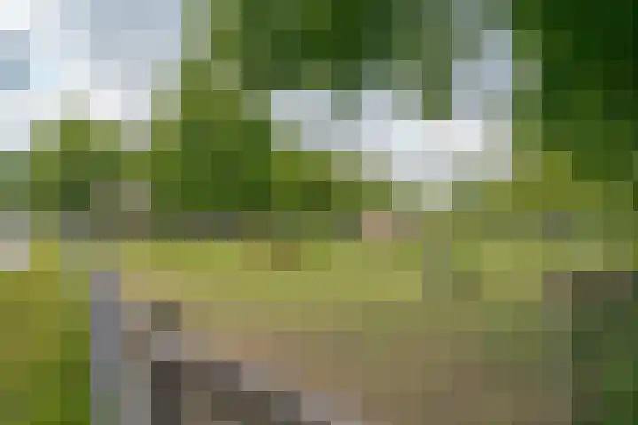 Händellaan 231 Zwolle thumbnail 40