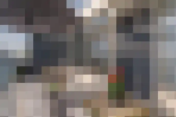 Händellaan 231 Zwolle thumbnail 9