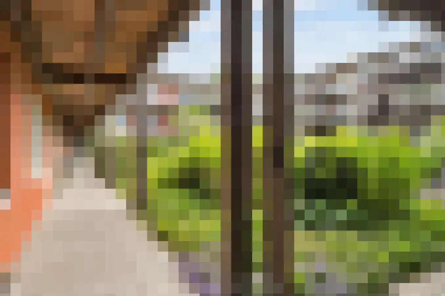 Händellaan 237 5 Zwolle thumbnail 30