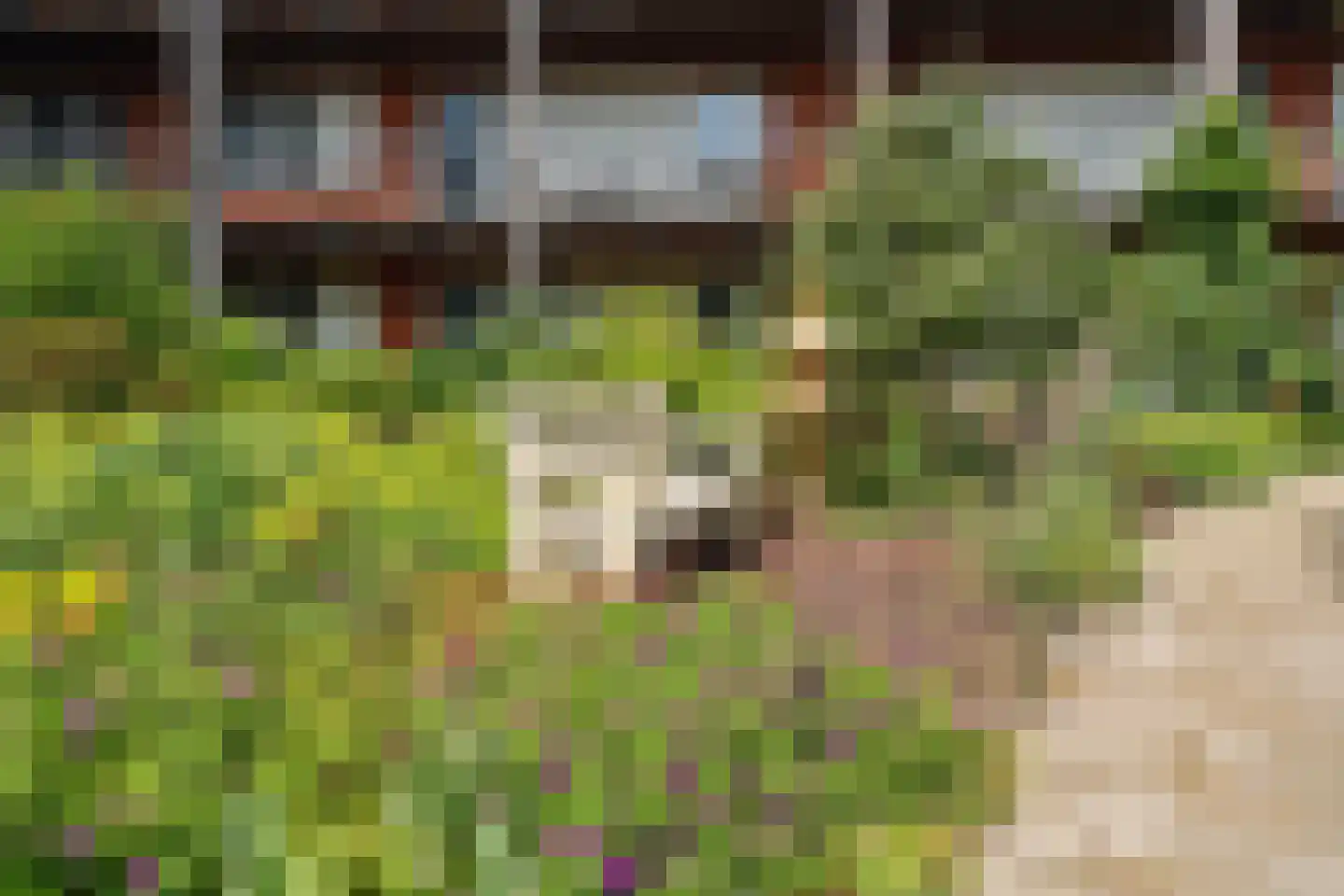 Händellaan 237 5 Zwolle thumbnail 37