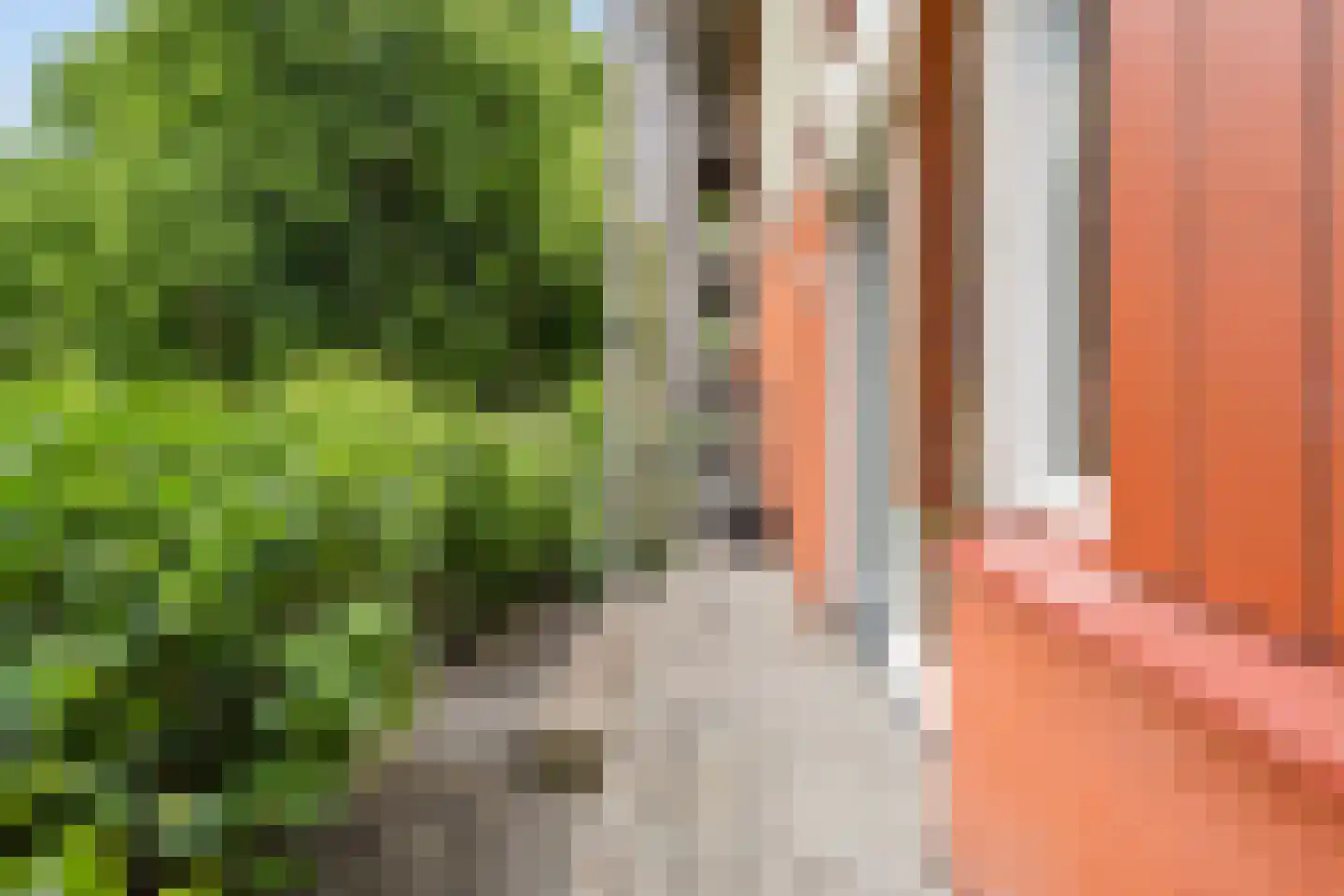 Händellaan 237 5 Zwolle thumbnail 7
