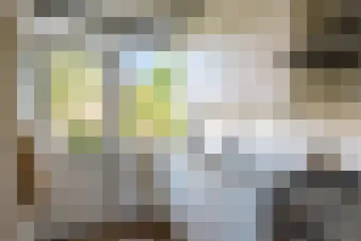 Händellaan 25 Groningen thumbnail 13