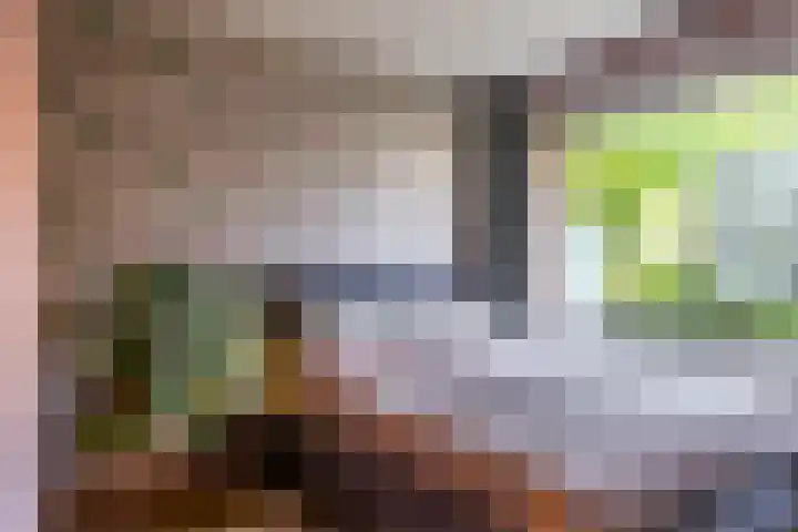 Händellaan 25 Groningen thumbnail 19