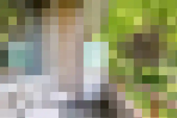 Händellaan 25 Groningen thumbnail 21